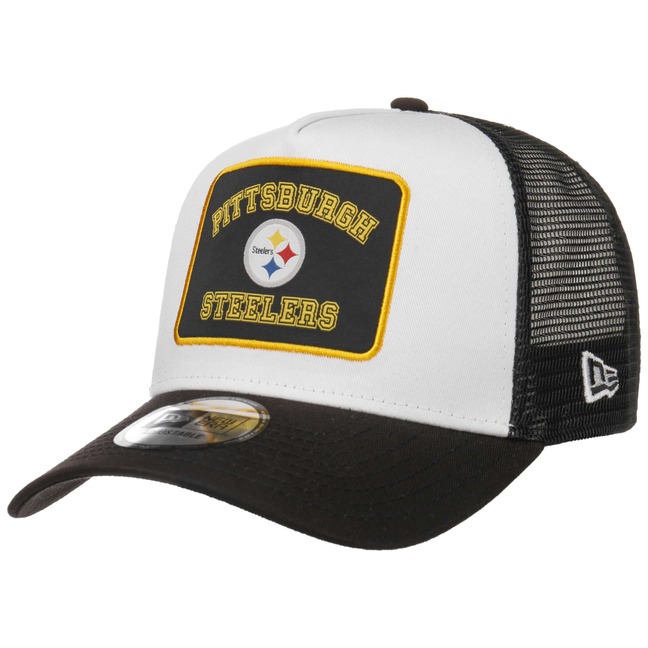 army steelers hat