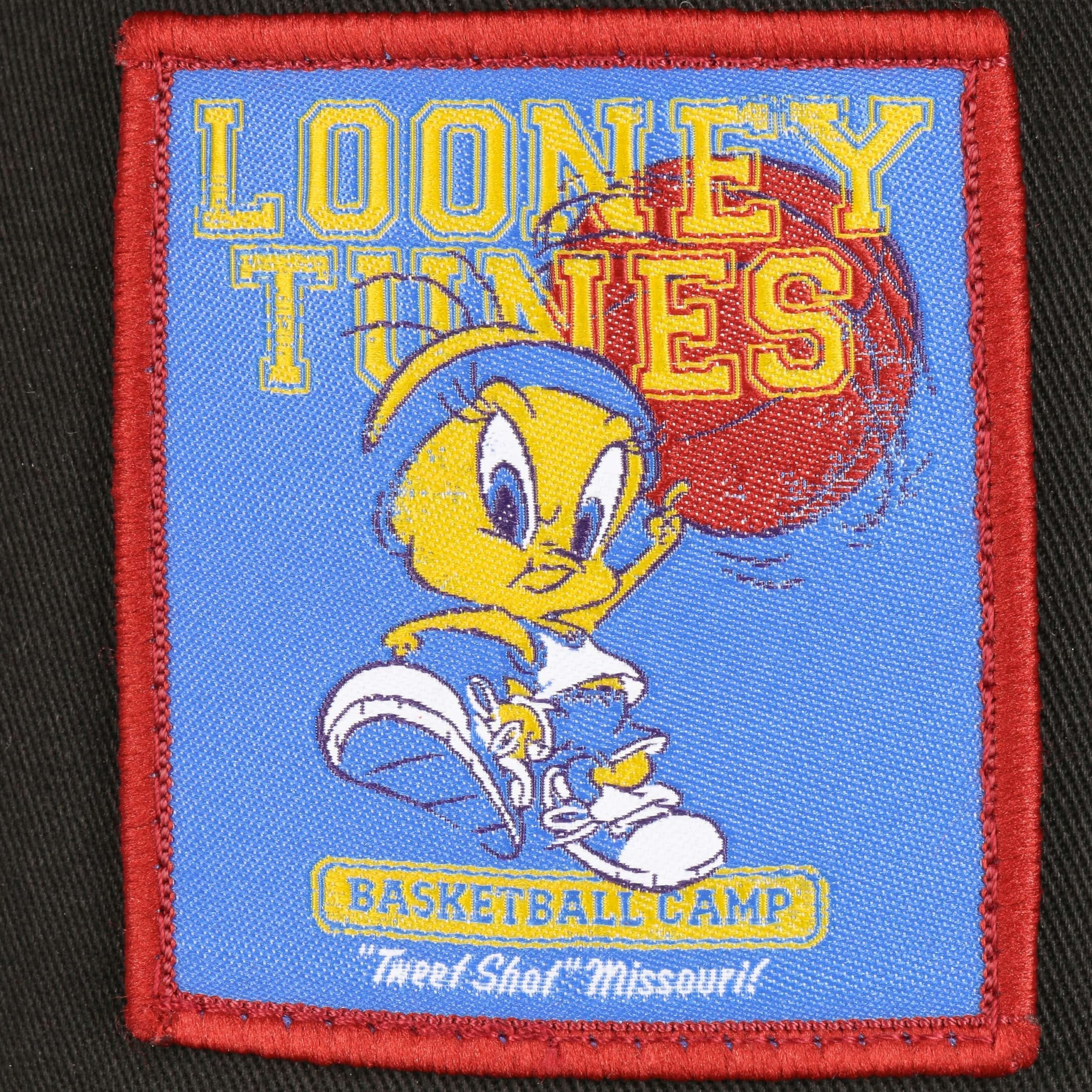 【極美品】NEW ERA 9FIFTY/ Looney Tunes Tweety 9Fifty Looney Tunes Chase Tweety Cap by New Era - 39,95 €