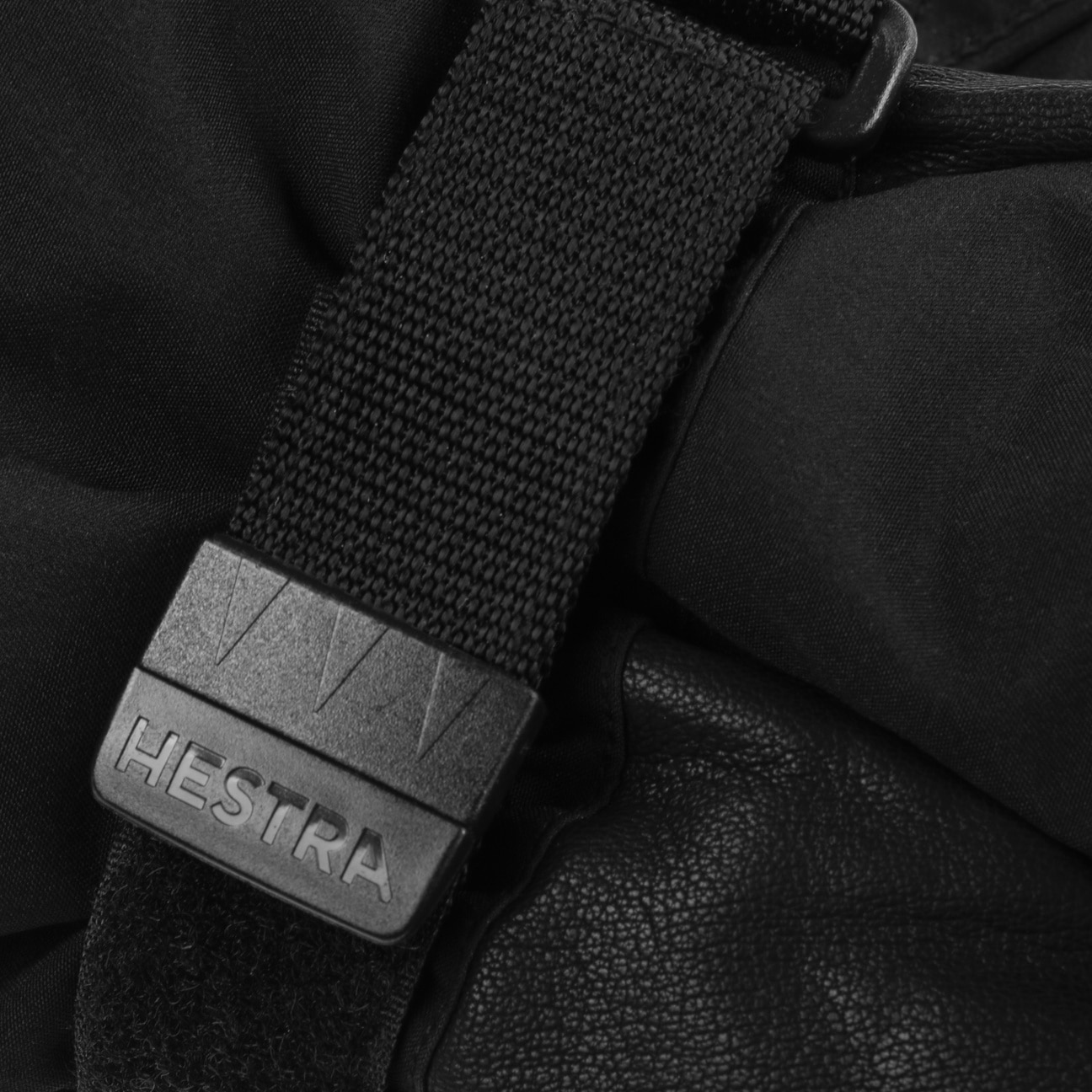 Alpine Czone Pointer Mittens by Hestra 93,95