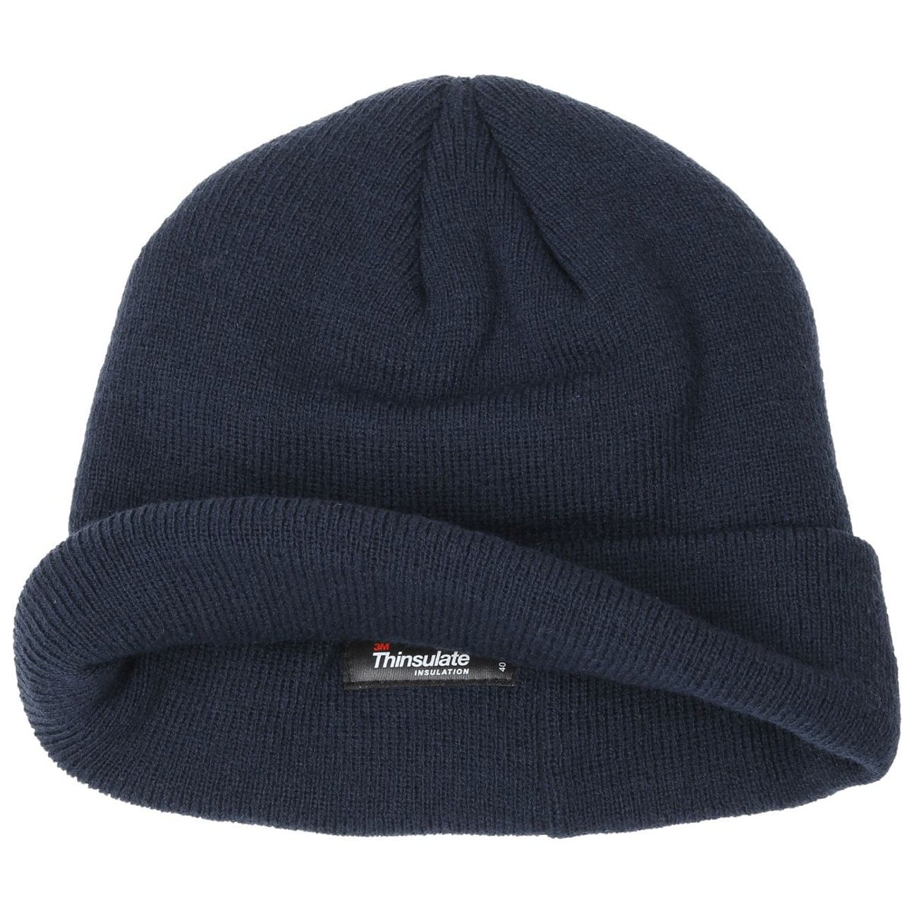 dickies thinsulate hat