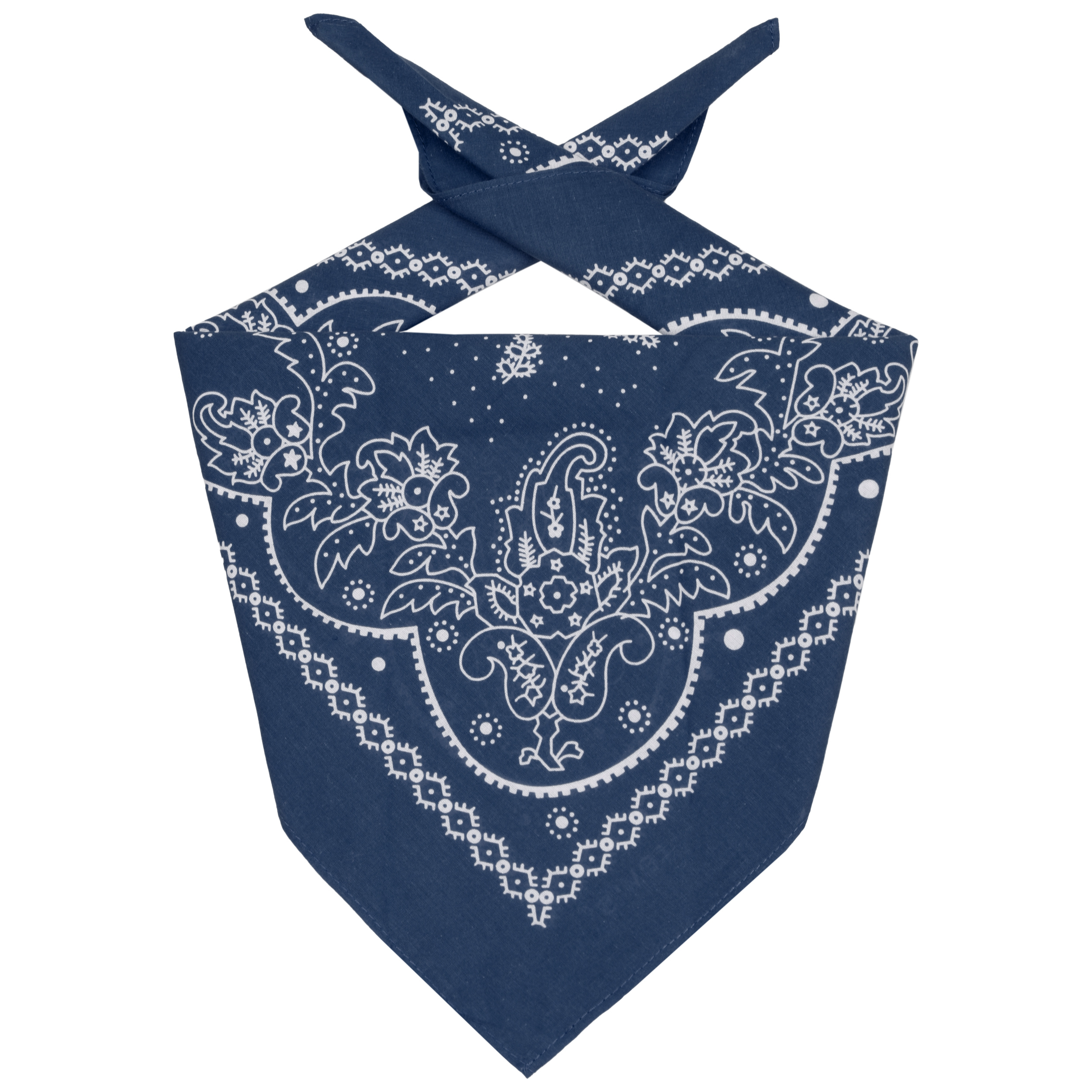 Classic Paisley Bandana by Levi's® --> Shop Hats, Beanies