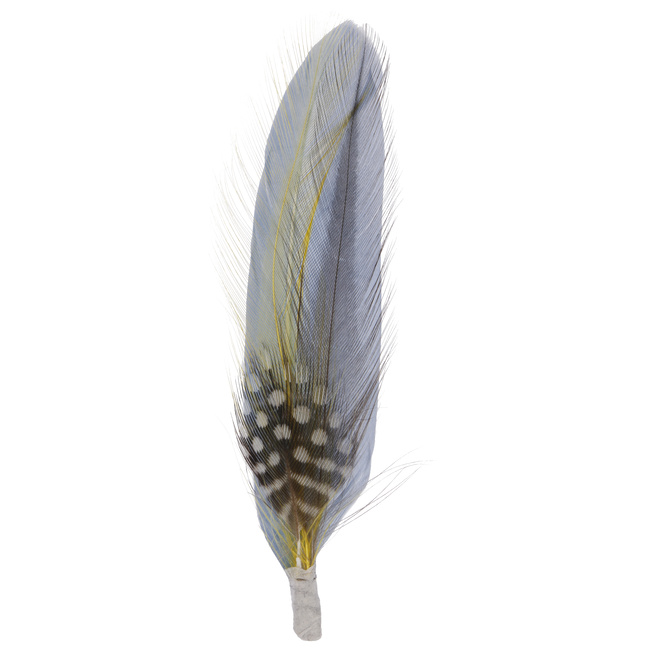Feather by Stetson - 1,99 €