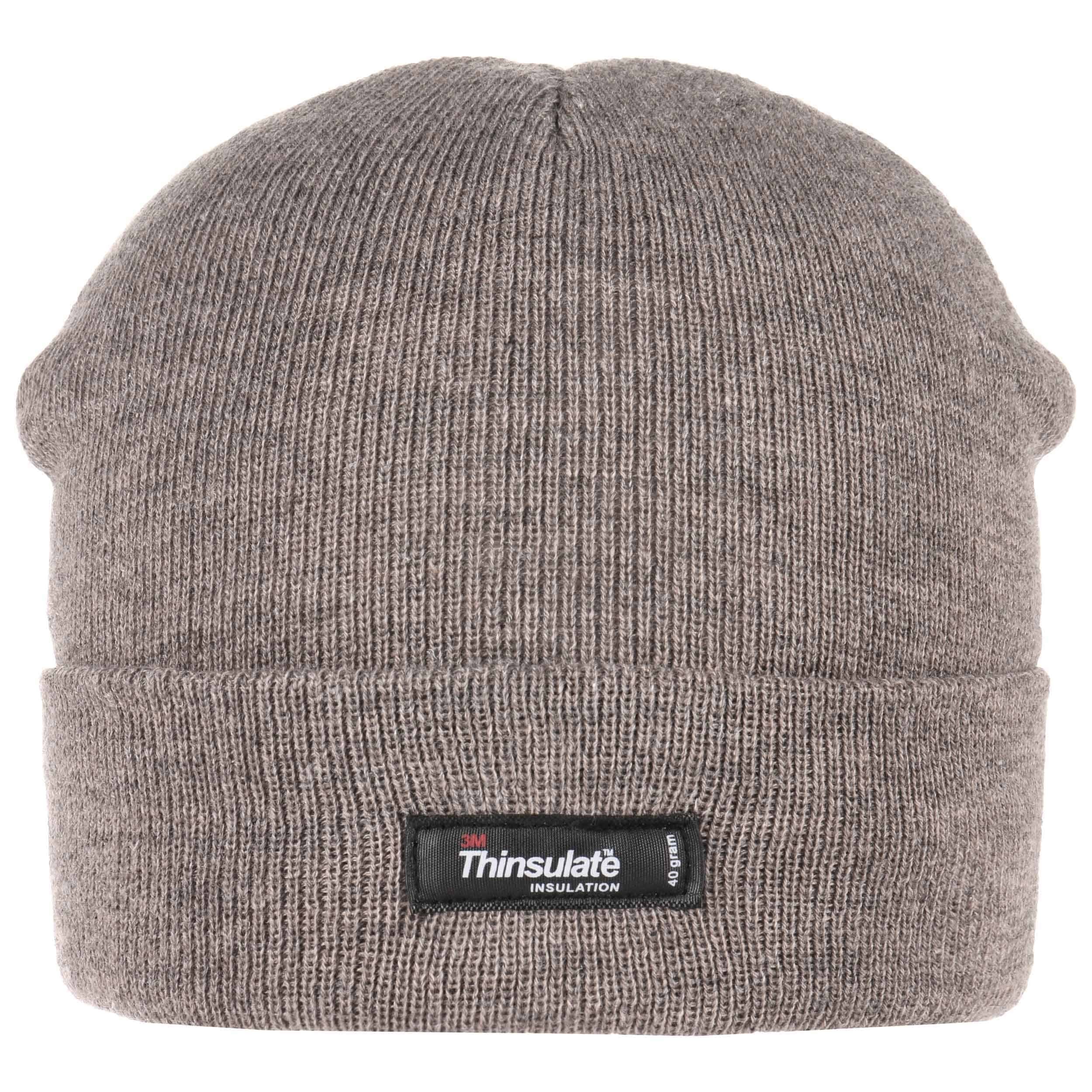 Thinsulate 3M Beanie Knit Hat with Cuff 