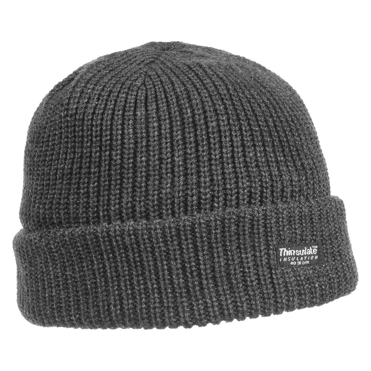 thinsulate 40 gram hat