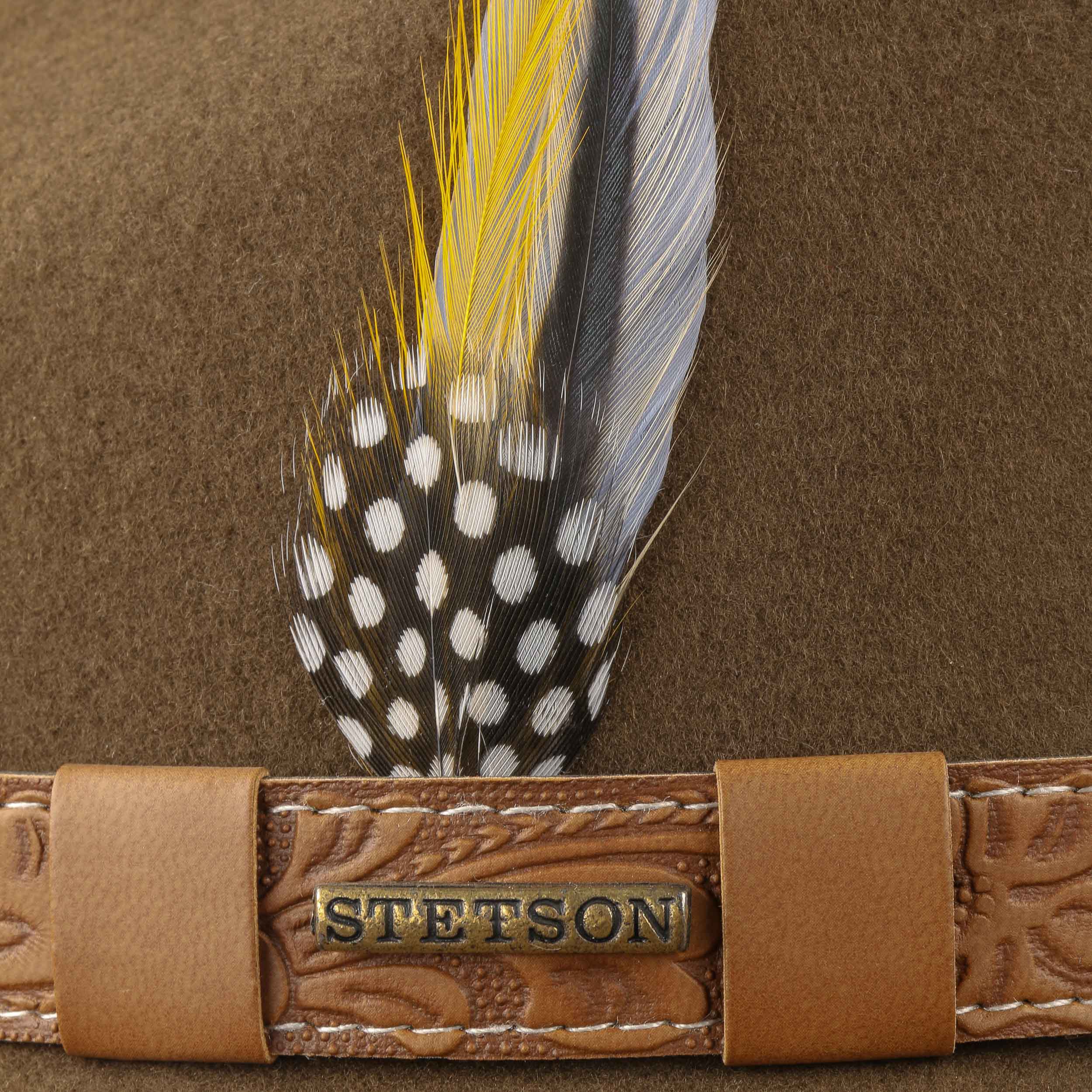wide brim stetson