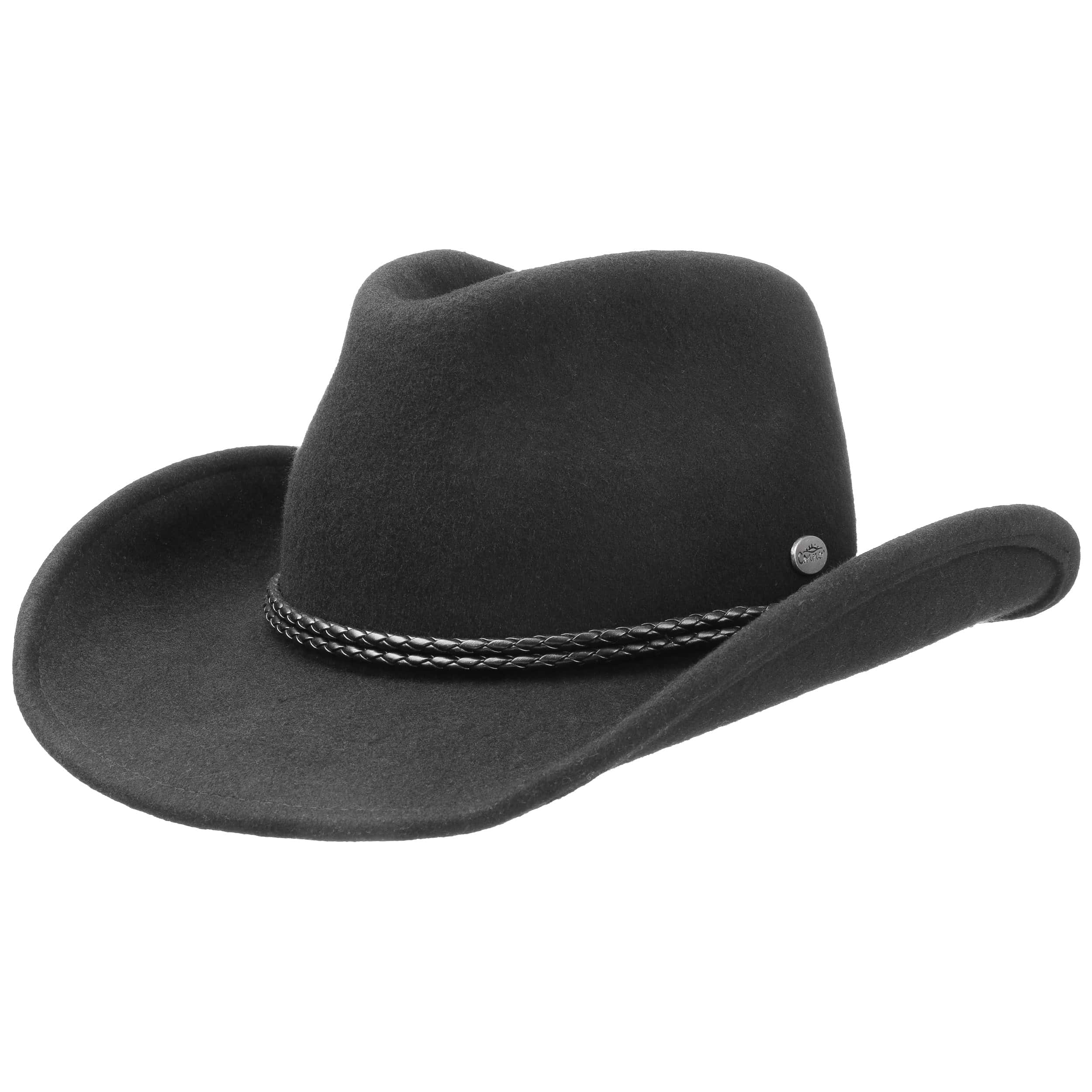 felt hat western