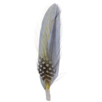 Hat Feather by Stetson - 2,95 &euro;