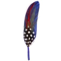 Hattfj�r by Stetson - 19,00 kr