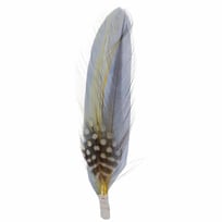 Hattfj�r by Stetson - 19,00 kr