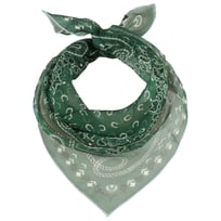 Paisley Silk Scarf by Fraas - 42,95 &euro;