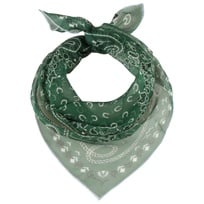 Paisley Silkeskjerf by Fraas - 489,00 kr