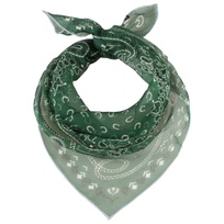 Paisley Silkeskjerf by Fraas - 499,00 kr