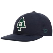 Vintage Ranger Cap by Herschel - 669,00 kr