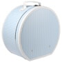 Hat Box Stripes by Lierys light blue