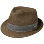 Reidton Toyo Trilby Straw Hat by Stetson brown
