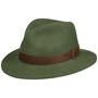Sperling Wool Hat by Bailey 1922 green