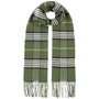 Checked Cashmink Scarf by Lipodo olive