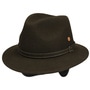 Dale Trekking Wool Hat by Mayser brown