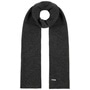 Lasuna Cashmere Scarf by Seeberger anthracite