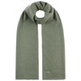 Lasuna Cashmere Scarf by Seeberger light green