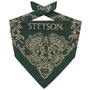 Paisley Bandana by Stetson dark green