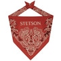 Paisley Bandana by Stetson red