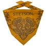 Paisley Bandana by Stetson yellow
