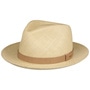Gelhorn Panama Hat by Bailey 1922 nature
