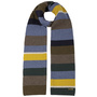 Merino Stripes Scarf by Stetson green