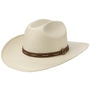 Edcouch Western Toyo Straw Hat by Stetson nature