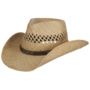 Rifterson Western Raffia Hat by Stetson nature