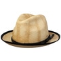 Clafin Panama Hat by Bailey 1922 nature