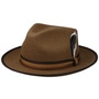 Baileyville Fedora Wool Hat by Stetson brown