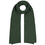 Sergnano Cashmere Scarf by Stetson green