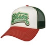 Lettering Trucker Cap by Stetson green