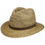 Faircreek Traveller Seagrass Hat by Stetson nature