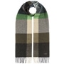 Cashmink Big Check Fringed Scarf by Fraas green