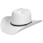 Vanlesco Western Toyo Straw Hat by Stetson white