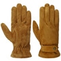 Revetal Leather Gloves by Stetson brown