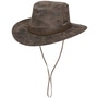 Pigskin Western Leather Hat by Stetson brown