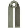 Levia Cashmere Scarf by Seeberger green