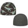 Dinoparty Kids Reversible Beanie Hat by maximo brown