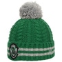 Harry Potter Slytherin Kids Beanie by New Era green