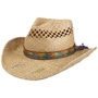 Western Festival Raffia Hat by Stetson nature