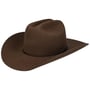 Diamondville Cattleman Western Hat by Stetson brown