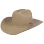 Diamondville Cattleman Western Hat by Stetson beige