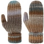 Multicolour Mittens by Lierys brown-blue