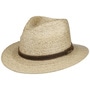 Dalespring Traveller Straw Hat by Stetson nature
