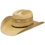 Costa Western Hat by Bailey 1922 beige