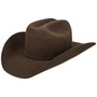 Lightning 4X Wool Western Hat by Bailey 1922 brown